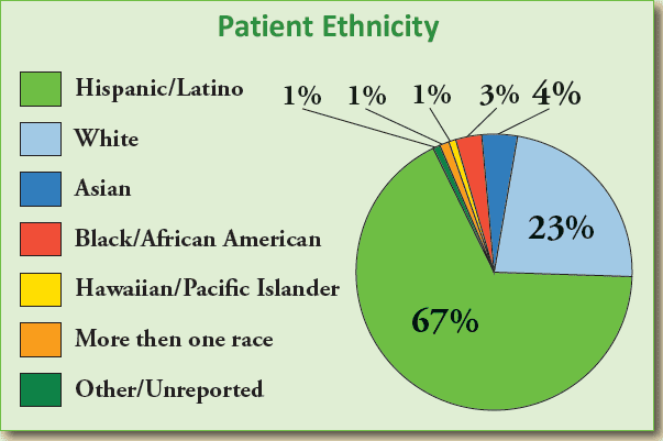 A pie chart titled Patient Ethnicity showing 67% Hispanic/Latino, 23% White, 4% Other/Unreported, 3% Black/African American, and 1% each for Asian, Hawaiian/Pacific Islander, and More than one race.