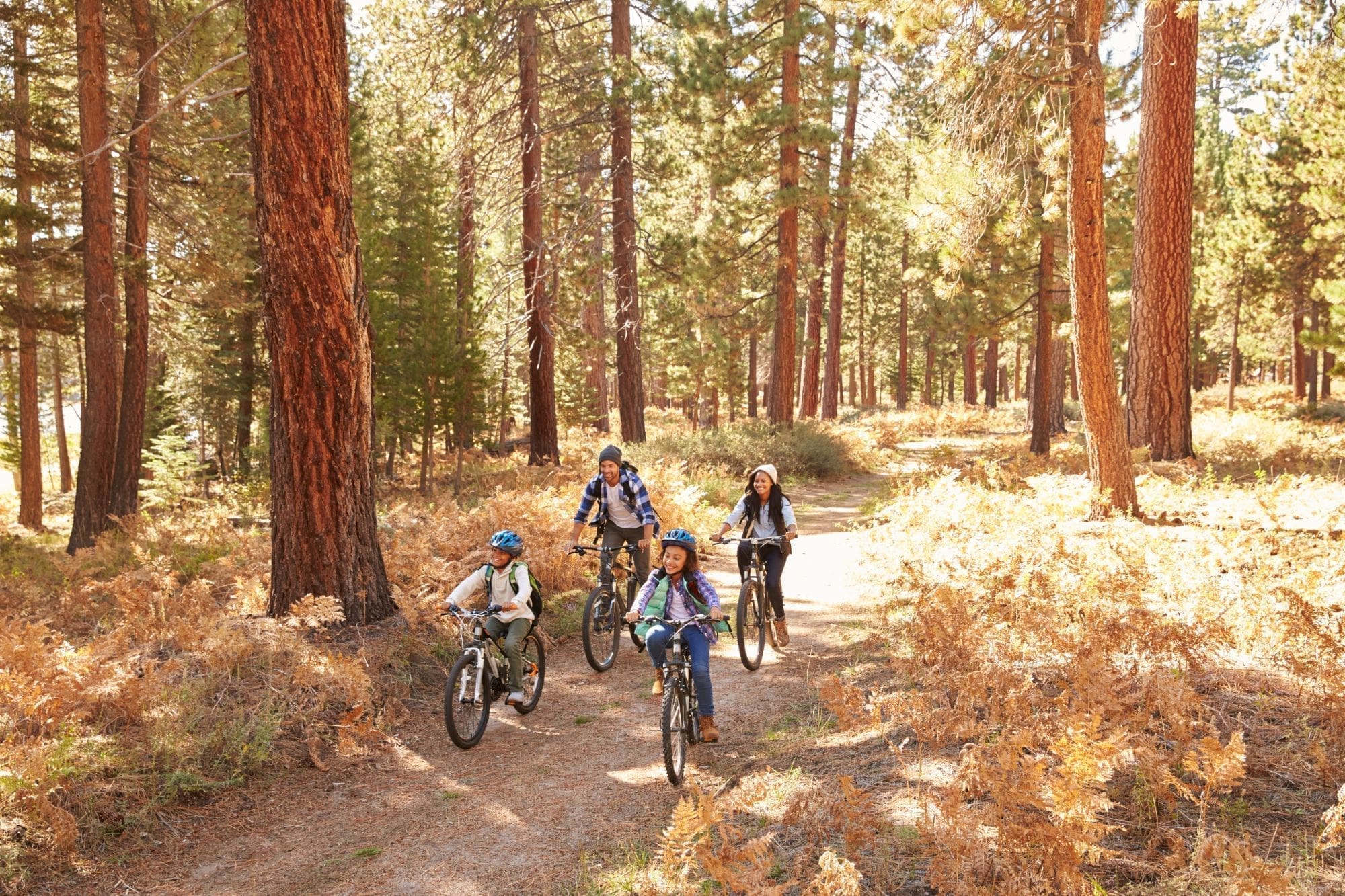 Four people, two adults and two children, ride bicycles along a dirt trail through a sunlit forest with tall pine trees and dry underbrush on either side of the path.