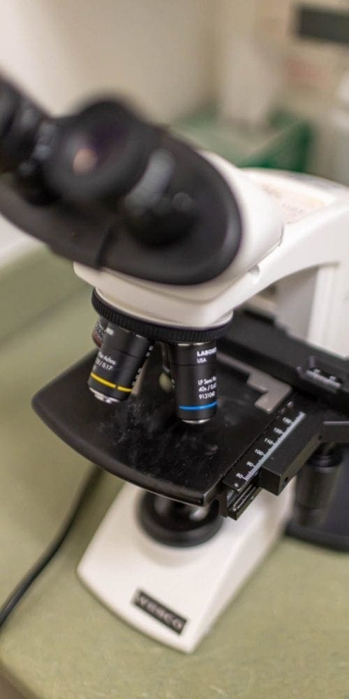 A close-up view of a laboratory microscope on a green countertop, showing the eyepieces, objective lenses, and stage in detail.