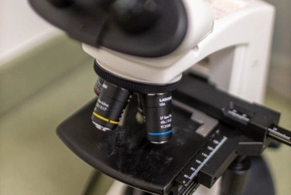 A close-up view of a laboratory microscope on a green countertop, showing the eyepieces, objective lenses, and stage in detail.