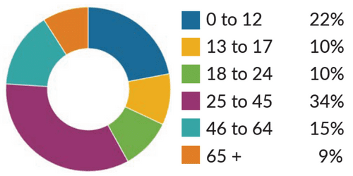 A donut chart shows age group distribution: 0-12 (22%), 13-17 (10%), 18-24 (10%), 25-45 (34%), 46-64 (15%), and 65+ (9%), each group represented by a different color.