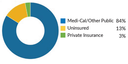 Donut chart showing health coverage: 84% Medi-Cal/Other Public (blue), 13% Uninsured (yellow), 3% Private Insurance (green).