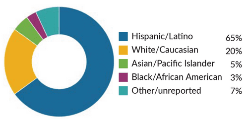 A donut chart shows demographics: 65% Hispanic/Latino (blue), 20% White/Caucasian (yellow), 5% Asian/Pacific Islander (green), 3% Black/African American (purple), and 7% Other/unreported (aqua).